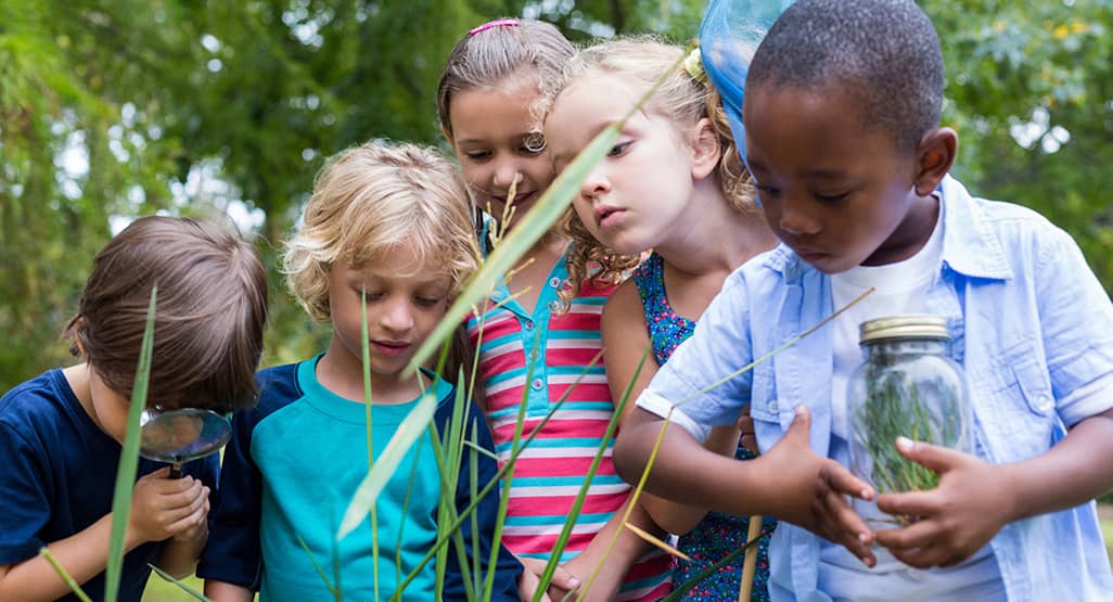 Your 5 1/2 year old: Appreciating nature